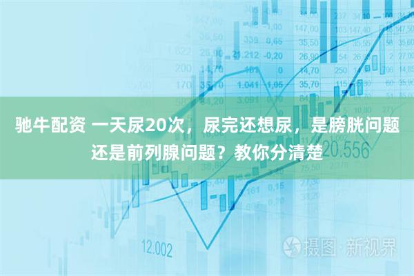 驰牛配资 一天尿20次，尿完还想尿，是膀胱问题还是前列腺问题？教你分清楚